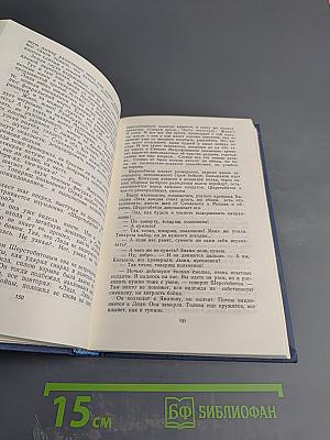 Тридцать лет и три года. Том 2