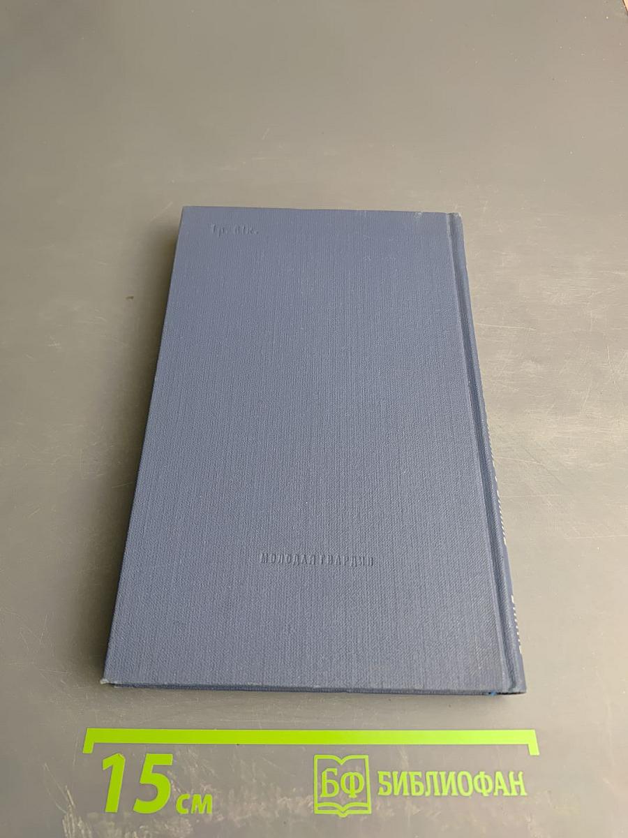 Тридцать лет и три года. Том 2