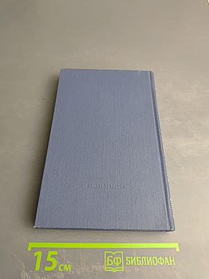 Тридцать лет и три года. Том 2