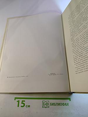 М. Казимирова. Николай Николаевич Золотарев