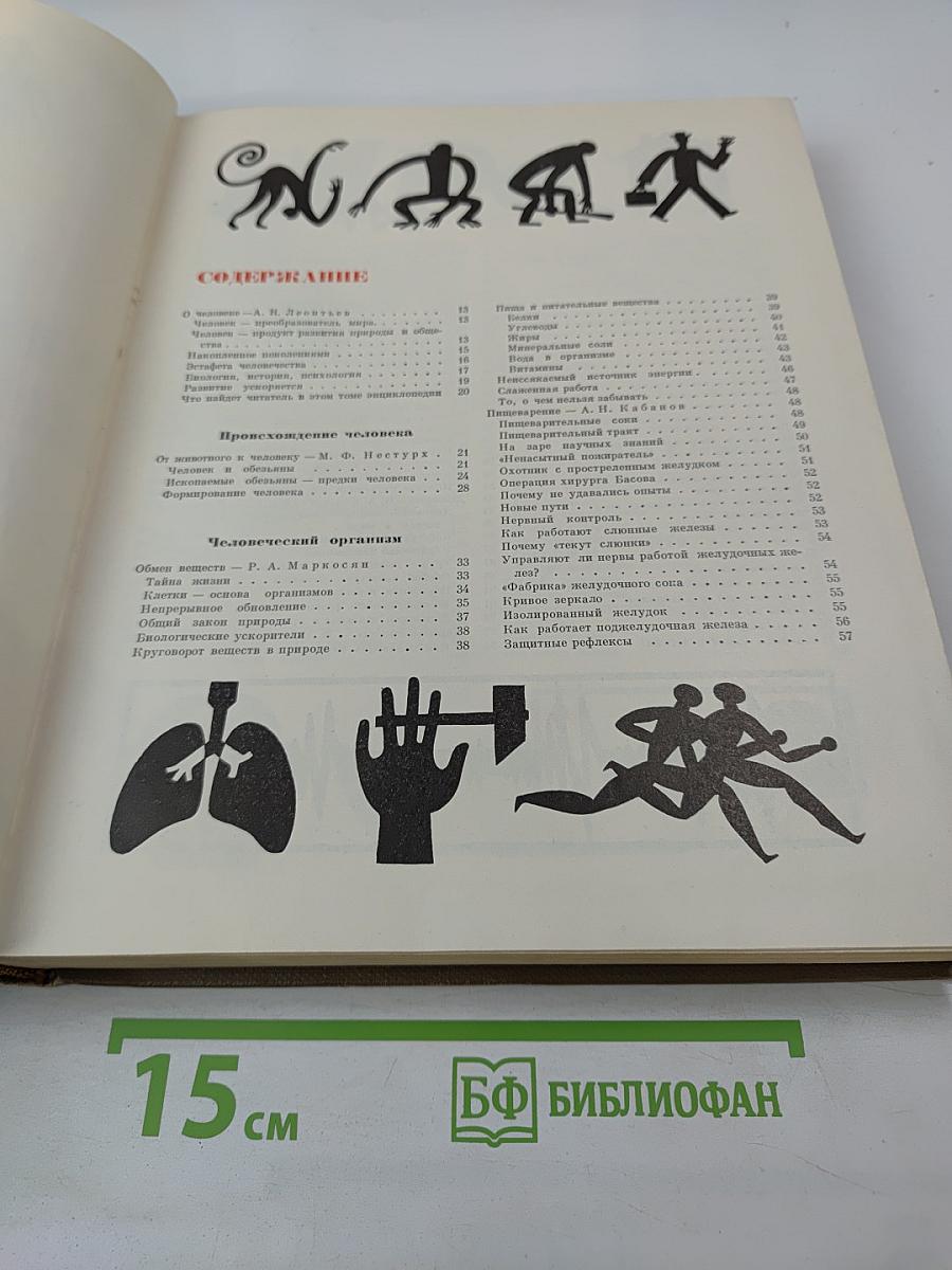 Детская энциклопедия. Том 7. Человек