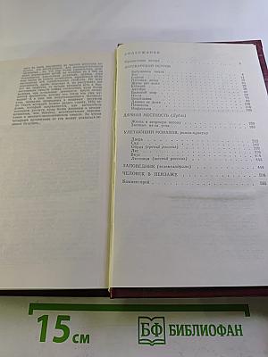 Собрание сочинений. Том 1. Повести и рассказы