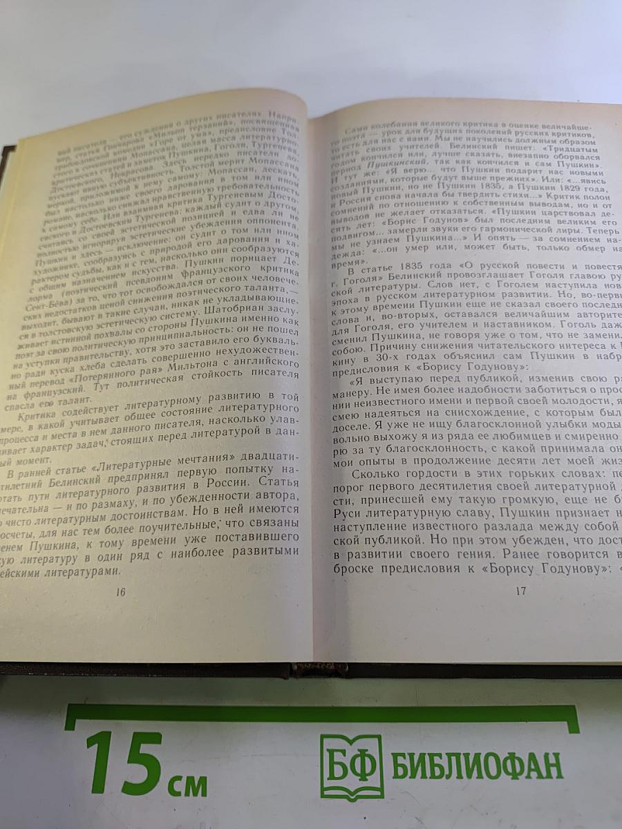 Избранные работы. Том первый. Критика как литература. Лев Толстой