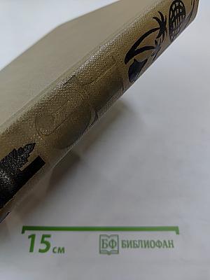 Детская энциклопедия Том 10: Зарубежные страны