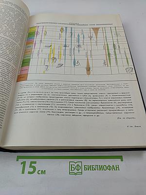 Краткая географическая энциклопедия