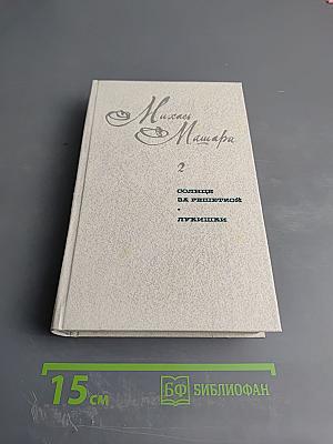 Солнце за решеткой. Лукишки. Том 2