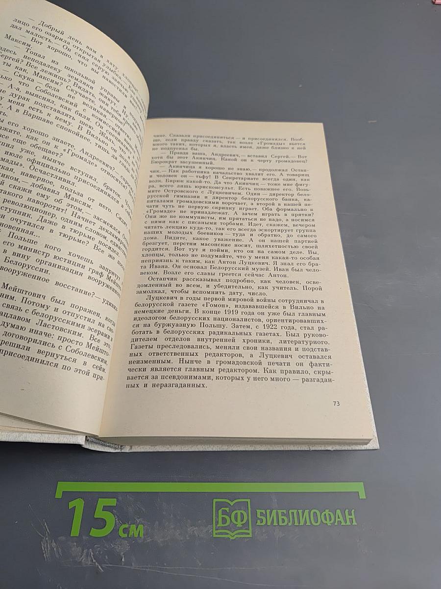 Солнце за решеткой. Лукишки. Том 2