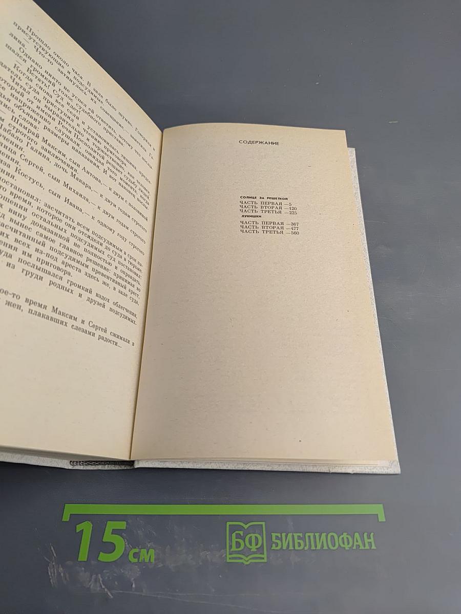 Солнце за решеткой. Лукишки. Том 2