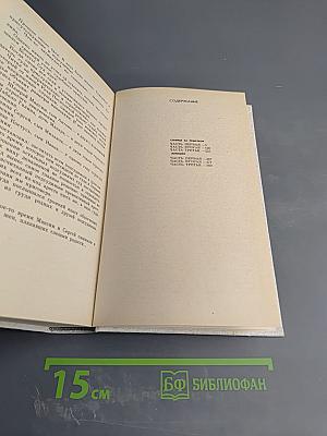 Солнце за решеткой. Лукишки. Том 2