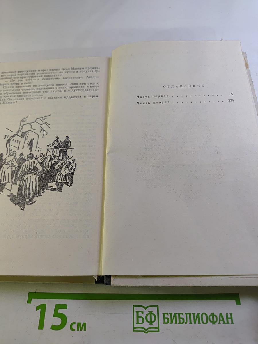 Двенадцать ворот Бухары. Книга третья: Поверженный