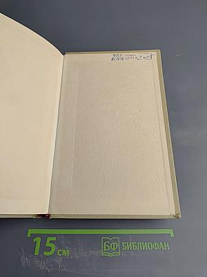 История моего современника