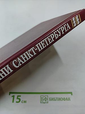 Святыни Санкт-Петербурга. Том второй