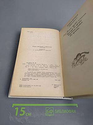 Последний поклон. Книга 2