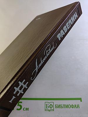 Алексеевский равелин: Секретная государственная тюрьма России в XIX веке. Книга 1