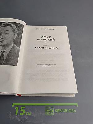 Амур Широкий. Книга 2. Белая тишина