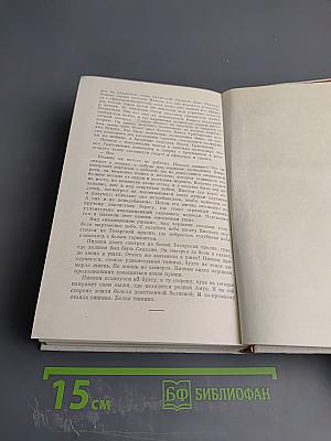 Амур Широкий. Книга 2. Белая тишина