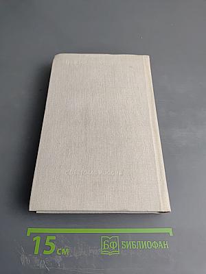 Амур Широкий. Книга 2. Белая тишина