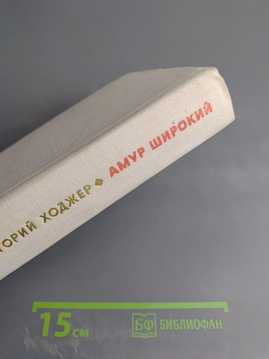 Амур Широкий. Книга 2. Белая тишина