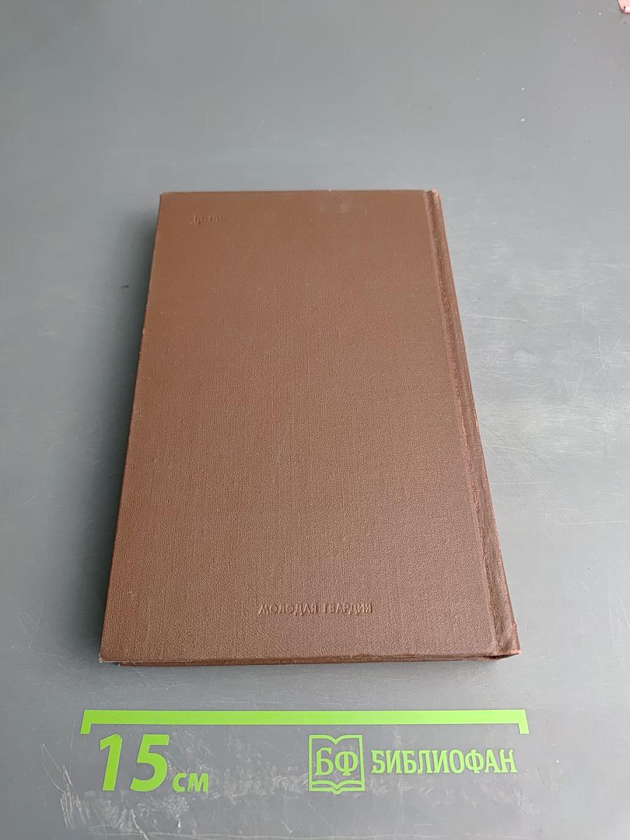 Семейные обстоятельства. Том первый