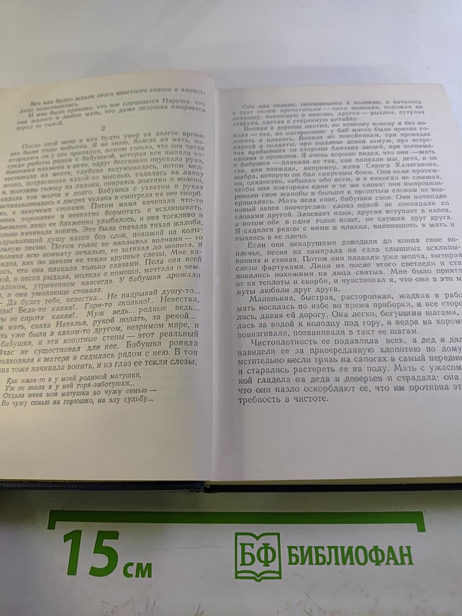 Повесть о детстве. Том четвертый