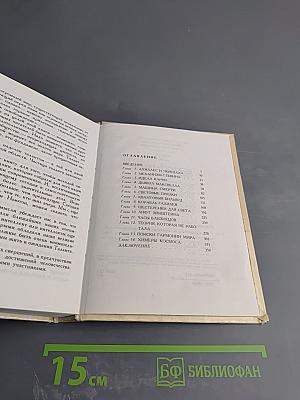 Предчувствия и свершения