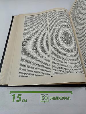 Христианство. Энциклопедический словарь. Том 1. А-К