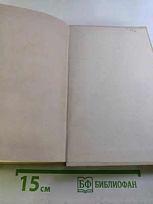 Иезуизм. Исследование в шести томах. Том 2. Варварство. Книга первая