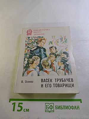 Васёк Трубачёв и его товарищи, Книга 3