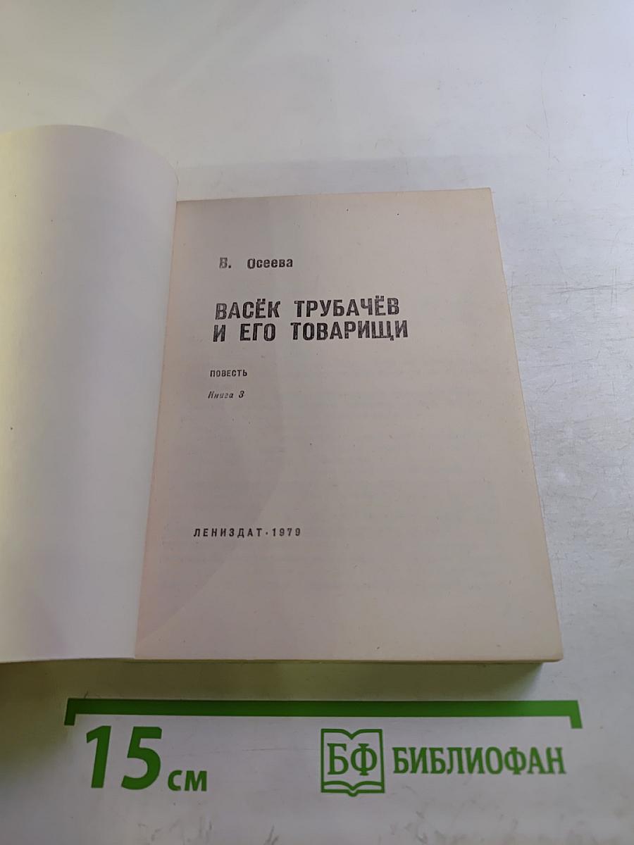 Васёк Трубачёв и его товарищи, Книга 3