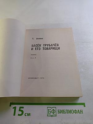 Васёк Трубачёв и его товарищи, Книга 3