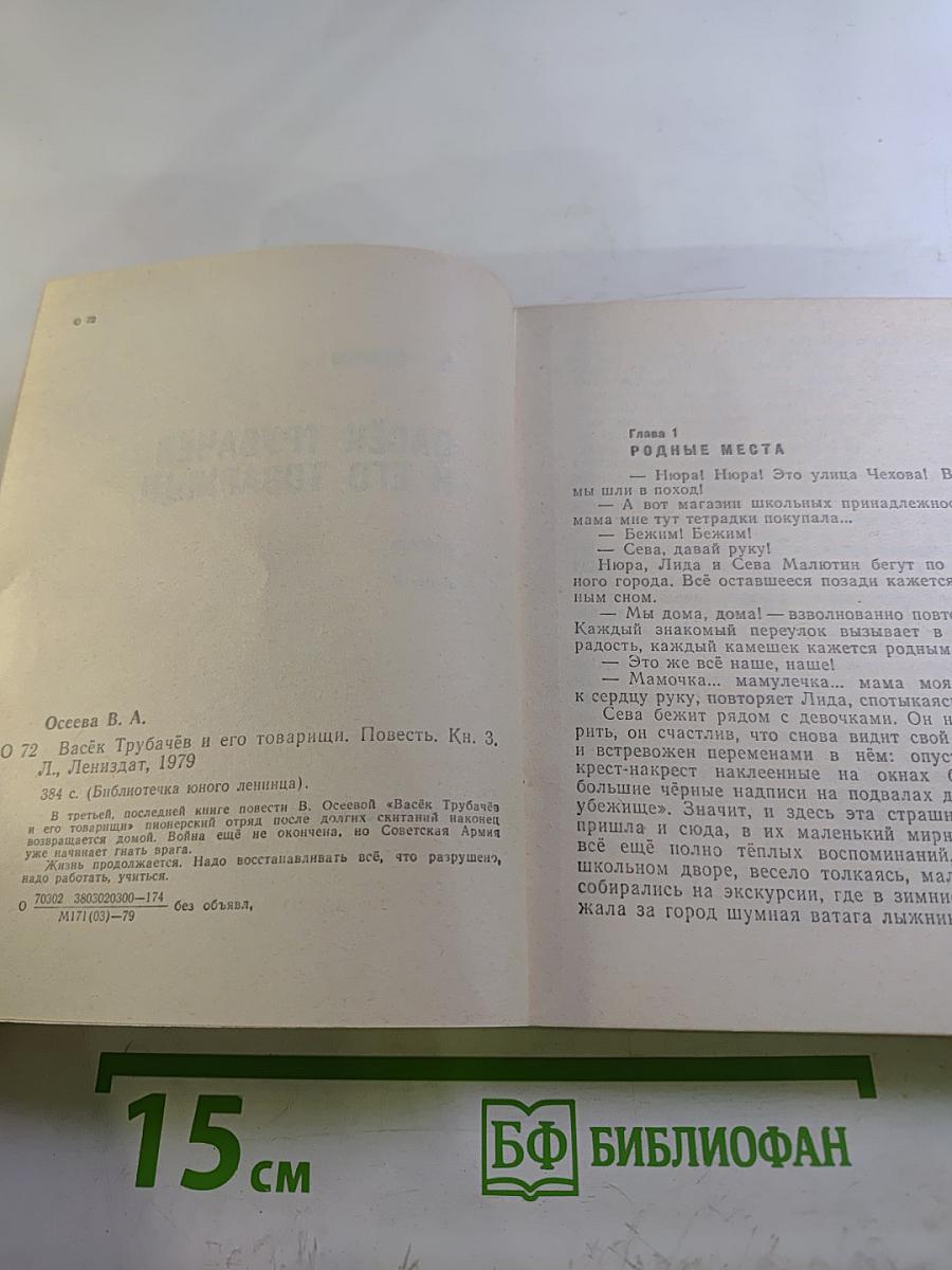 Васёк Трубачёв и его товарищи, Книга 3