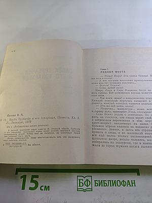 Васёк Трубачёв и его товарищи, Книга 3