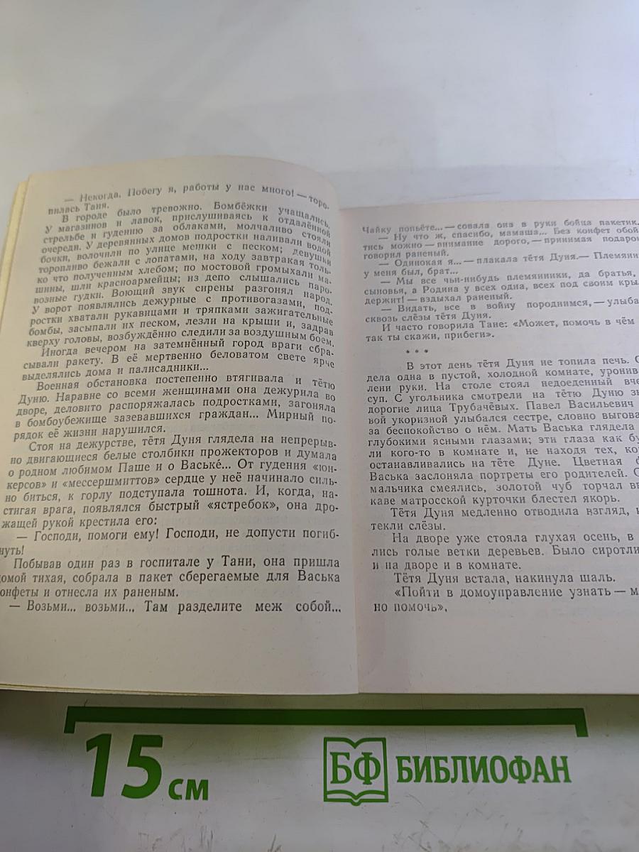 Васёк Трубачёв и его товарищи, Книга 3