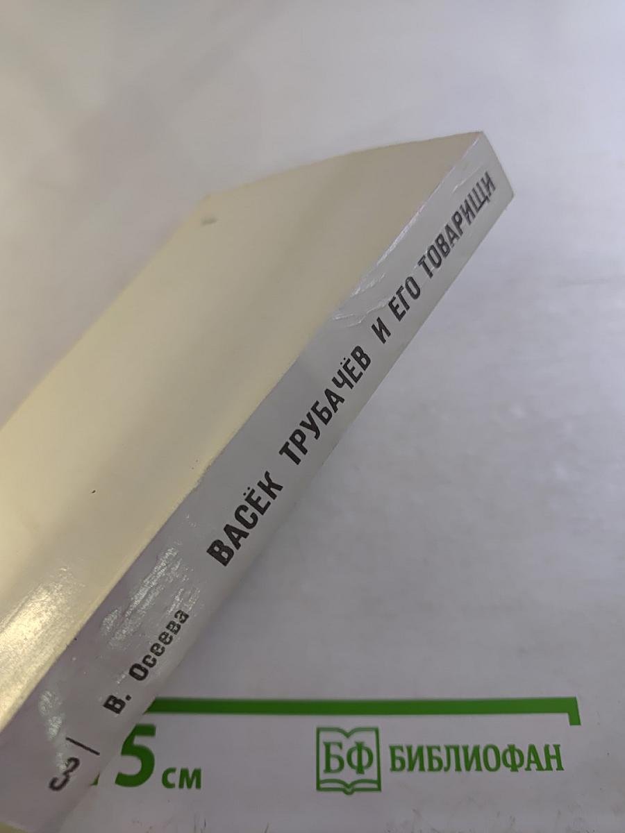 Васёк Трубачёв и его товарищи, Книга 3