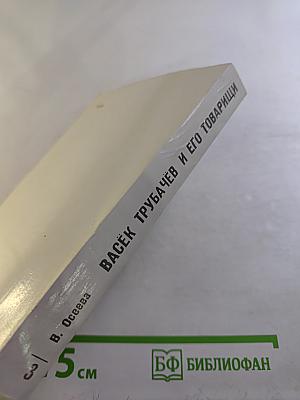 Васёк Трубачёв и его товарищи, Книга 3