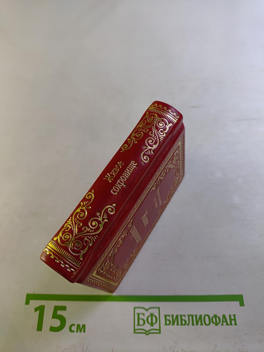 Живое сокровище. Русские пословицы и поговорки