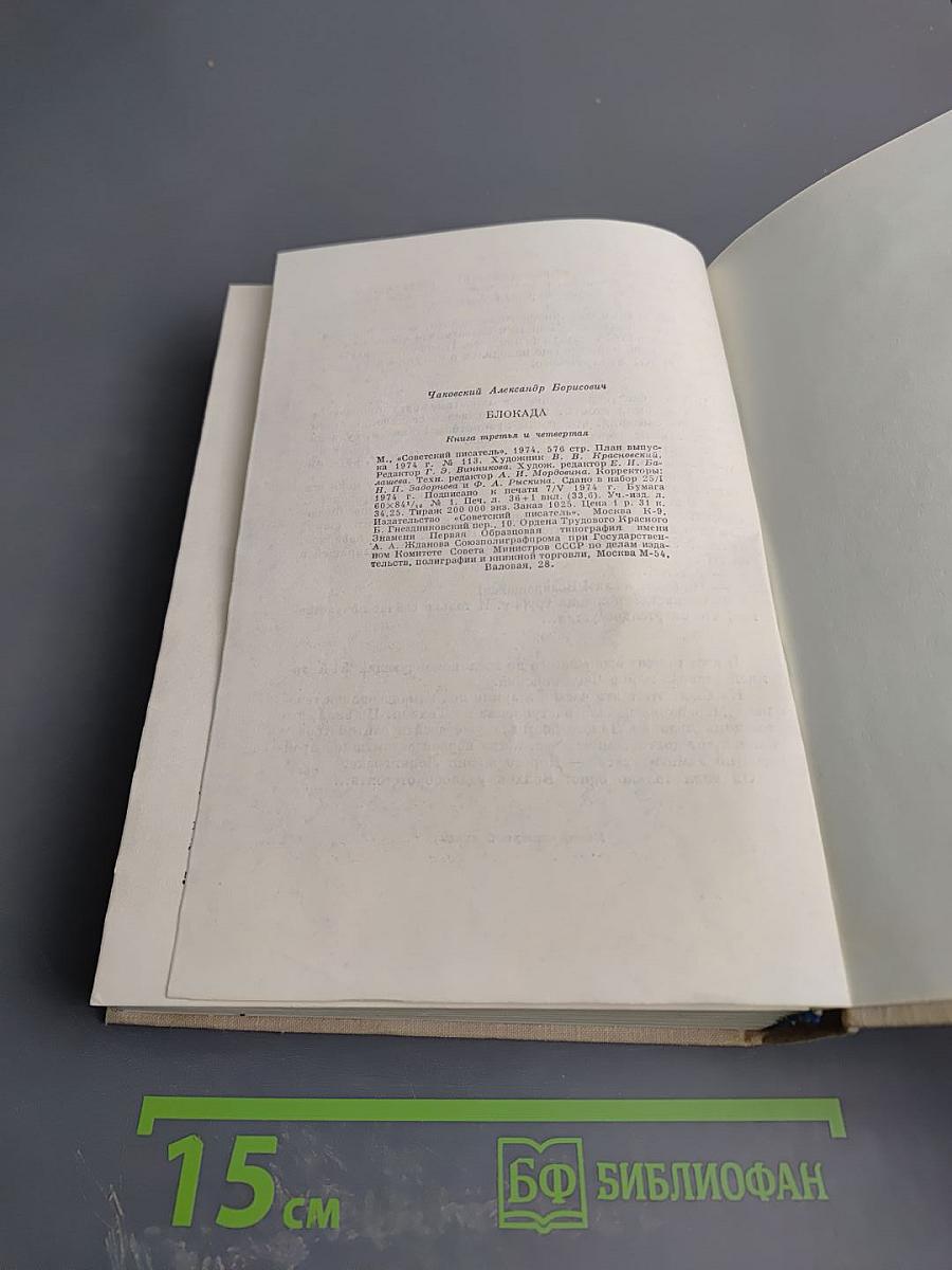 Блокада. Книга третья и четвертая