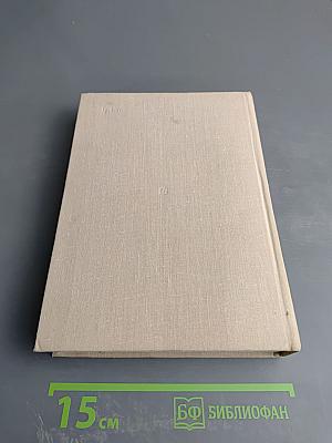 Блокада. Книга третья и четвертая