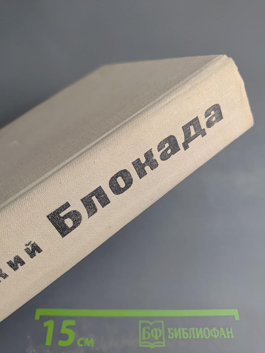 Блокада. Книга третья и четвертая