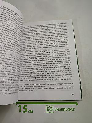 Литература. Учебник для 6 класса. Часть 2