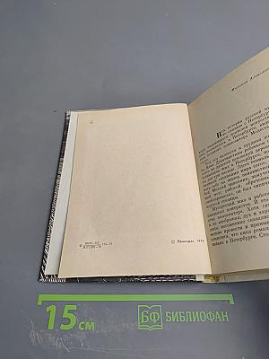 Мусоргский в Петербурге