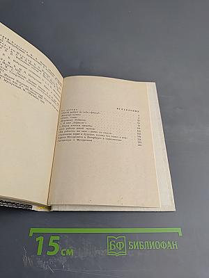 Мусоргский в Петербурге