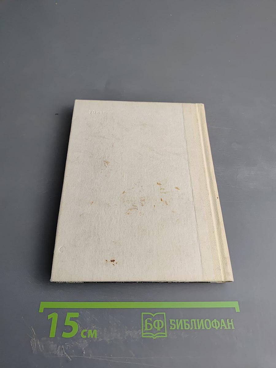 Мусоргский в Петербурге