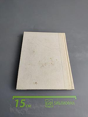 Мусоргский в Петербурге