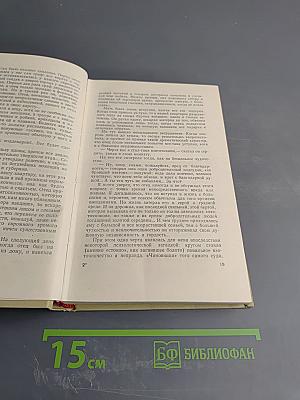 Собрание сочинений. Том пятый. История моего современника