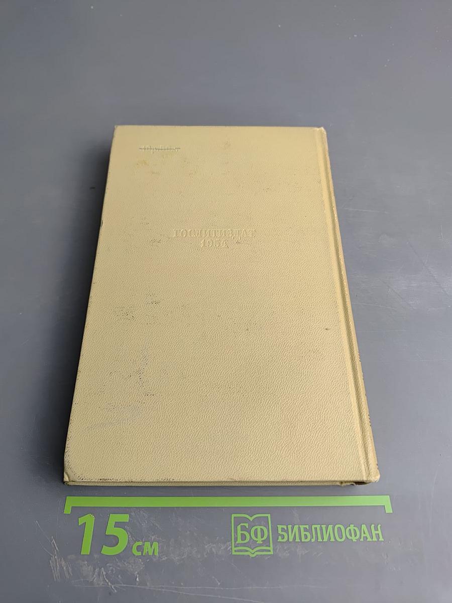 Собрание сочинений. Том пятый. История моего современника