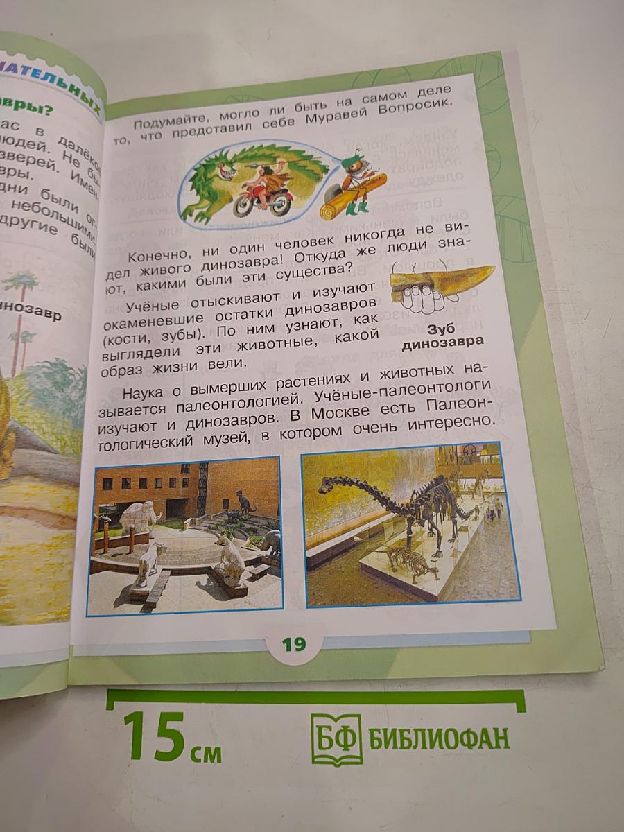 Окружающий мир 1 класс. Часть 2