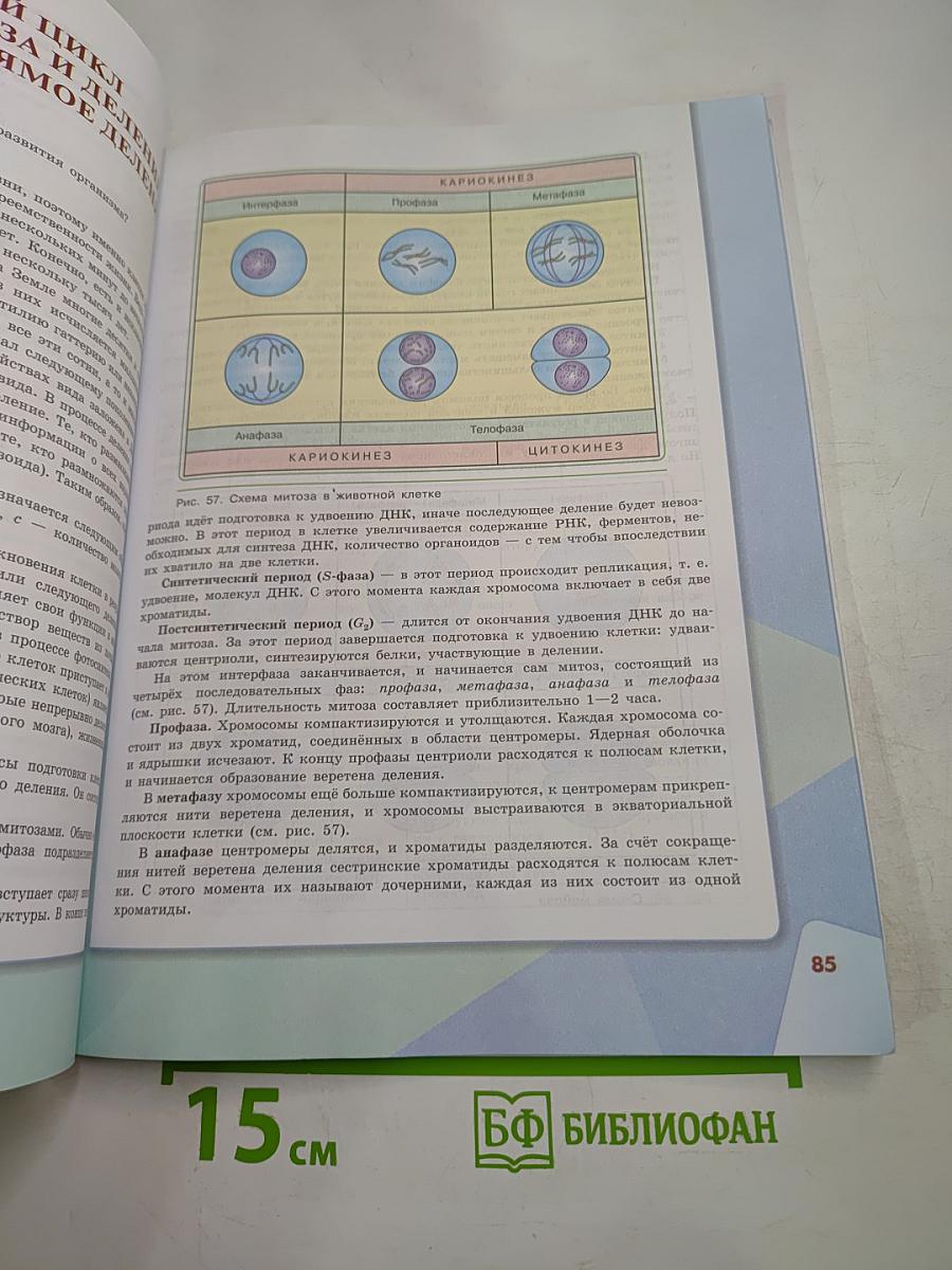 Биология 10 класс