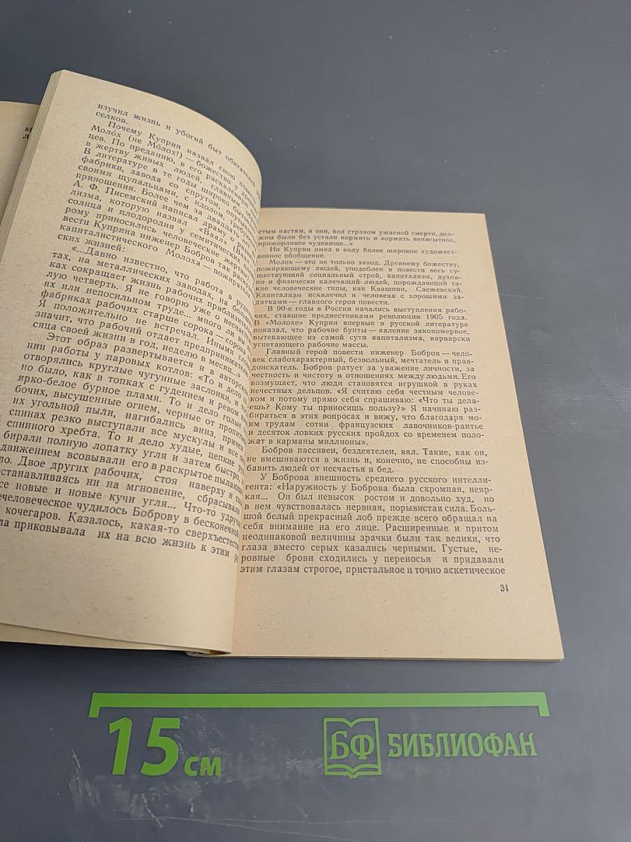 Александр Иванович Куприн. Биография писателя. Пособие для учащихся