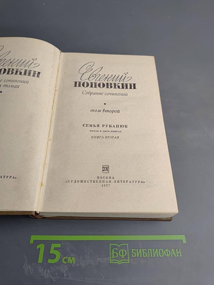 Собрание сочинений. Том второй: Семья Рубанюк. Книга вторая